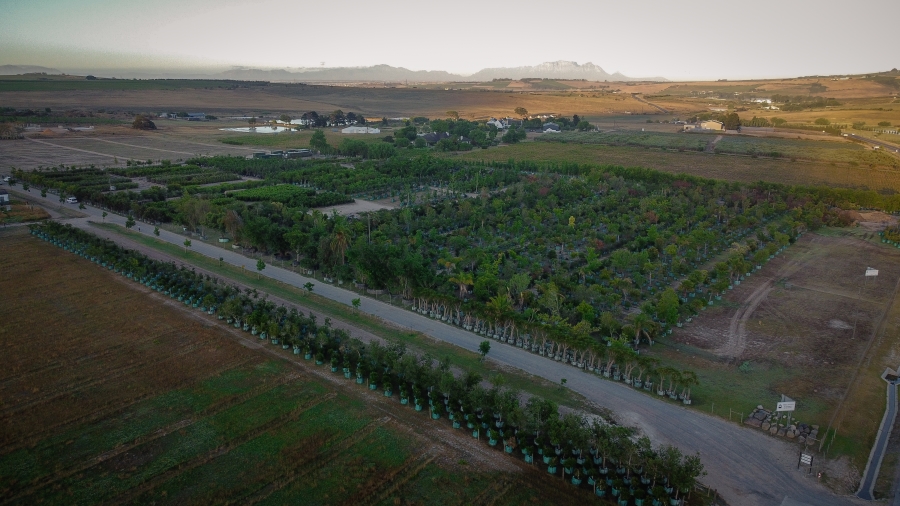 0 Bedroom Property for Sale in Stellenbosch Farms Western Cape